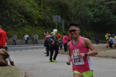HYS_1131