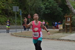 HYS_1313