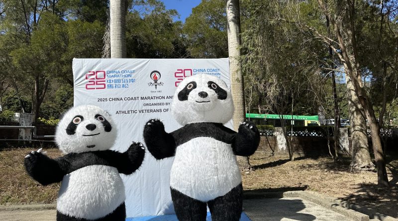 2025 CCM sunshine and pandas